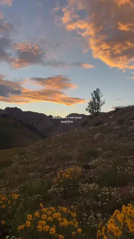 some of my fav clips from the summer 🥲 #Summer #pretty #nature #soul 