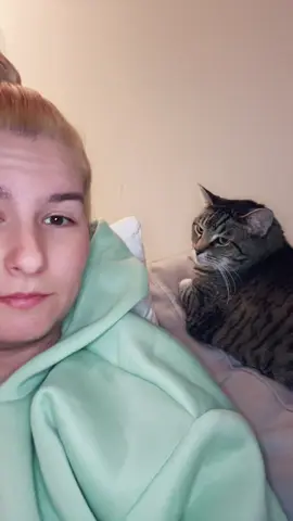 Just chillin on a Monday night.  #mondaynight #chillin #bleachedhair #judgingcats #metime 