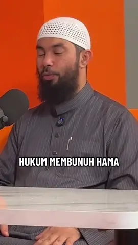 Hama tikus wajib dibasmi🗿