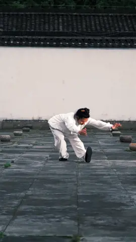 Tai Chi basic skills become your own only when you practice them. Once you comprehend its form and meaning, you will suddenly see things clearly.#taichi 