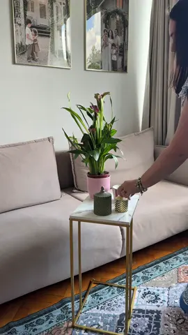 Canapeaua pare curată… până vezi apa din rezervor 😅 3 copii + o pisică = provocarea supremă, dar Rowenta Clean IT, aspiratorul cu spalare care elimina diverse pete de pe suprafetele textile salvează ziua! Cu o putere de 750W, accesorii versatile si 2 rezervoare detasabile unul pentru apa curata si celalalt pentru mizeria desprinsa din material, curăță petele, scoate mizeria ascunsă și îți lasă toate suprafețele textile fresh. 🫧✨In 3 pasi simpli: pulverizezi apa cu detergentul care vine la pachet cu aspiratorul, perii bine zona si aspiri si ai toate suprafetele patate facute luna. Iar la final doar conectezi accesoriul pentru auto-curatare si isi spala singur furtunul dupa fiecare utilizare. Atat de simplu este! Foloseste codul “ruxandra” pentru 25% reducere pentru produsele din link: https://www.emag.ro/label/Home-Cleaning-Rowenta #CleanIT #RowentaRomania #HomeHacks #Ad @Rowenta Romania 