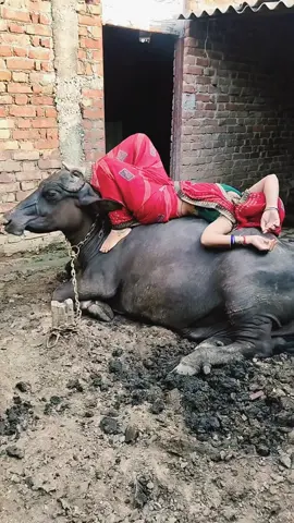 chinta xina kai.🤣🤣#trending #fpy #foryou #lokdohori #goviral 