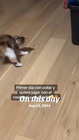 #onthisday 