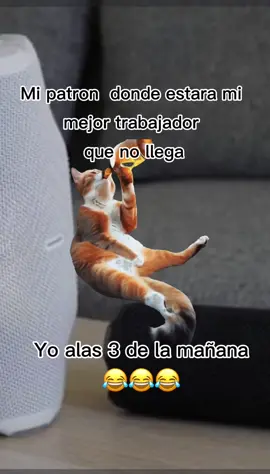 #Meme #MemeCut ✅✅✅