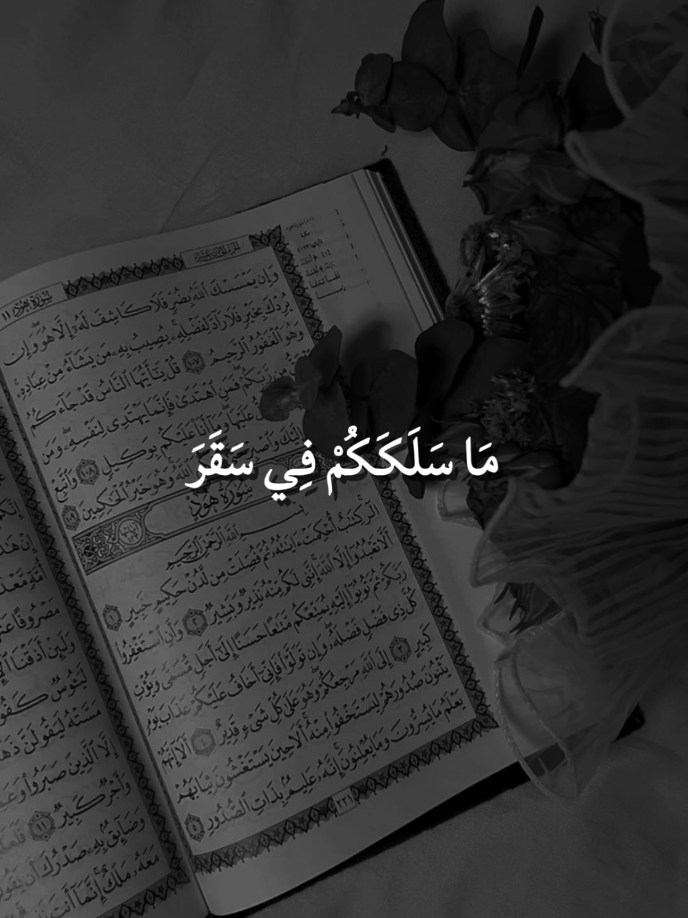 مَا سَلَكَكُمْ فِي سَقَرَ( ٤٢)قَالُوا لَمْ نَكُ مِنَ الْمُصَلِّينَ( ٤٣)وَلَمْ نَكُ نُطْعِمُ الْمِسْكِينَ( ٤٤)وَكُنَّا نَخُوضُ مَعَ الْخَائِضِينَ( ٤٢) #ما_سلككم_في_سقر #سورة_المدثر #القران_الكريم_راحه_نفسية😍🕋 #شيخ #صالح 