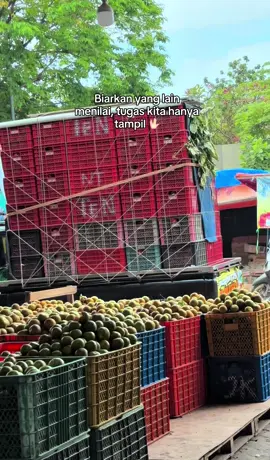 🐲🐲🐲 #fyppppppppppppppppppppppp #zyxcba #petaniindonesia🇮🇩🇮🇩🇮🇩🌿🌿 #petanimuda #buahnaga 