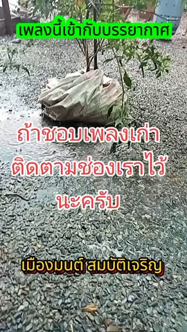 #ช่องนี้มีแต่เพลงเก่า #คนบ้านนอก #คอยน้องทั้งคืน #เมืองมนต์สมบัติเจริญ 