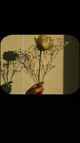 #remii_huh #foryou 
