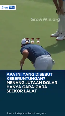 Di ajang BMW Championship, pegolf Tommy Fleetwood nyaris apes. Bolanya berhenti tepat di bibir lubang, hampir gagal masuk. Tapi hal tak terduga terjadi.. seekor lalat hinggap, merayap di bola, dan membuatnya akhirnya masuk ke dalam lubang setelah 28 detik menegangkan. Hasilnya luar biasa, Fleetwood pulang dengan bonus $1,45 juta plus hadiah turnamen $728 ribu. Semua itu terjadi hanya karena satu momen kecil yang tidak bisa diprediksi. Kadang dalam bisnis maupun hidup, kemenangan besar justru datang dari hal-hal sederhana yang terlihat sepele. Source: championat_com via unilad.id Video: Instagram/championat_com __ Follow @growwinid untuk update terbaru seputar berita bisnis, teknologi, dan berbagai insight menarik! Kunjungi growwin.org untuk akses 1800+ modul pembelajaran bisnis berbagai bidang #bisnis #peluang #inspirasi