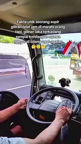 fakta atau mitos.??🤔😇#trucklife #viralvideo #truckdriver #trucking #funnytrucker 