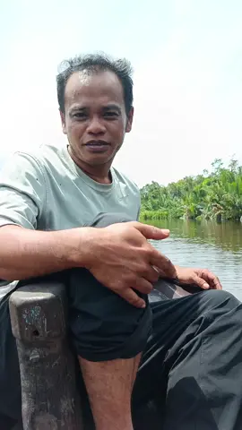 Trip hari ini berjumpa dengan buaya taman yang sedang menyusuri sungai untuk mencari makanannya.Buaya tsb berukuran kurang lebih 1'5 meter.Dia tidak merasa terganggu saat kami mendekatinya dengan menggunakan kelotok dan mengabadikan momen dari jarak dekat.  #buaya #crocodile #wildlife #borneo