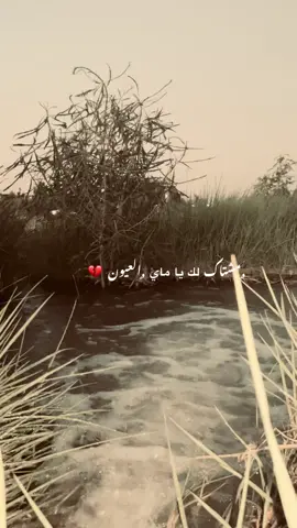 #تصويري_احترافي_الاجواء👌🏻🕊😴 #مجرد________ذووووووق🎶🎵💞 #تصميم_فيديوهات🎶🎤🎬 #طششونيي🔫🥺😹💞 #الايكات생일축하해사랑해❤_فولو_متابعة💛 