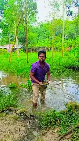 এ কি চেয়ারম্যান না ঢাকাত #ফানি_ভিডিও😀😀😀😳মজা #ভাইরাল_ভিডিও #ছোট_ইউজার_সবাই_সাপোট_করবেন #শিয়ার_করে_সবাইকে_দেখার_সুযোগ_দিন #🤣🤣🤣 
