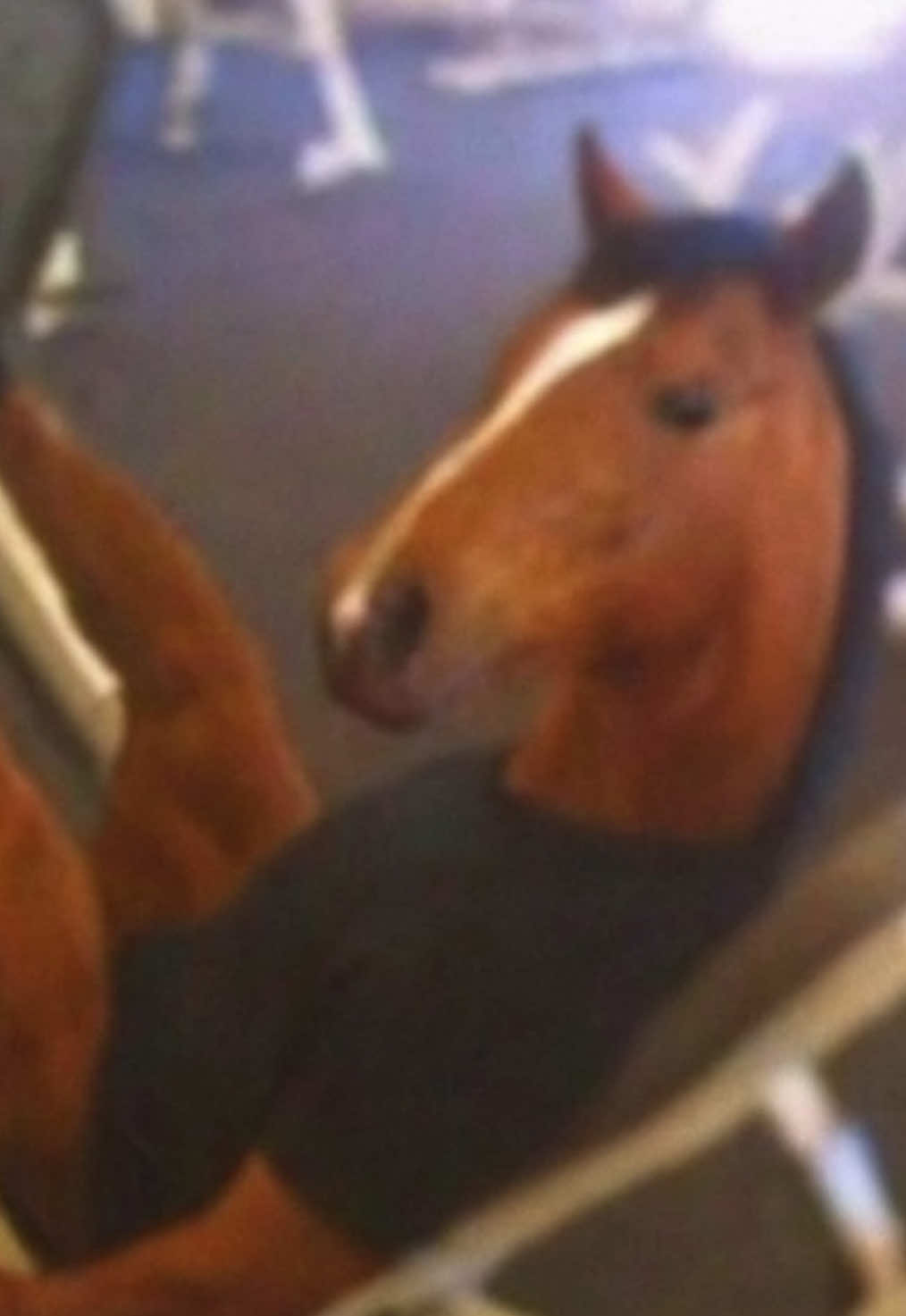 Best horse meme you ever see today and its free #meme #horse #horsememe #tiktokmeme #funnytiktok 