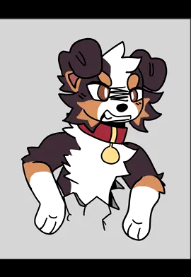 [ Stuck in Wall Meme ] featuring the aussie ever. I did this in an hour and a half sleep deprived help me #animation #furry #animationmeme #stuckinwall #fursona 