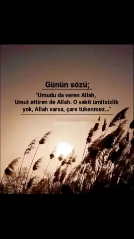 “Umudu veren Allah   umut ettirende Allah o vakit ümitsizlik yok Allah varsa çare tükenmez”…🤍#keşfet 