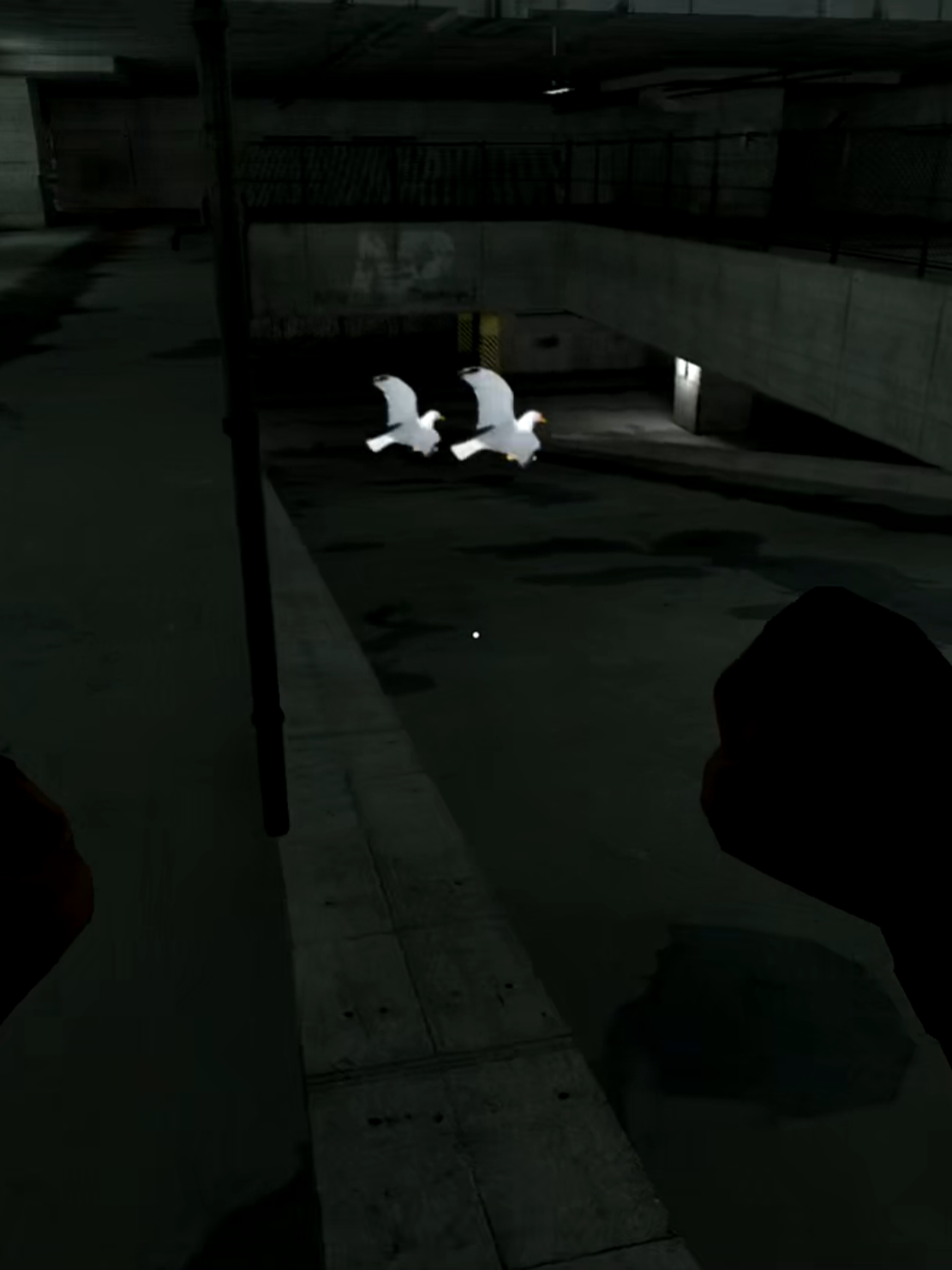 Just running. Gmod nextbot seagull. #gmod #gmodnextbot #fyp #garrysmod #gmodtiktok 