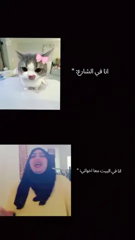 هي الصوره مش لايقه بس عادي #fyp #foryou #الشعب_الصيني_ماله_حل😂😂 #مالي_خلق_احط_هاشتاقات🧢 