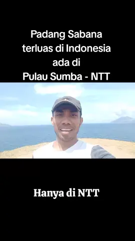 Untuk melihat Padang Sabana terluas di Indonesia Silahkan langsung ke Pulau Sumba - NTT. butuh guide, langsung DM👍 #HanyadiNTT #nttpride🏝🔥 #indonesia 