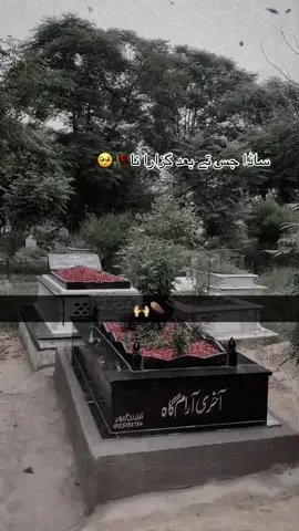 ساڈا جس تے بعد گزارا نا😭🥀🥀💔#aliyanakram74 #pktiktokofficial #fypシ゚ #pleasegoviral 