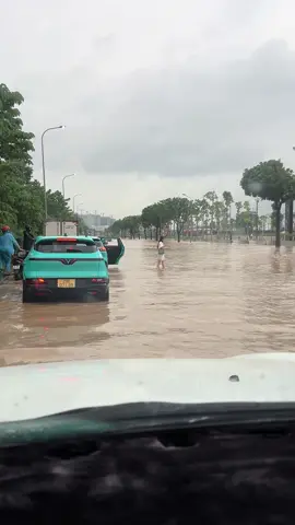 Mưa hà nội lại gặp ngay 2 cá tập bơi 🫣