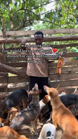 Help feed my dogs and keep their tails wagging. Every bit counts 