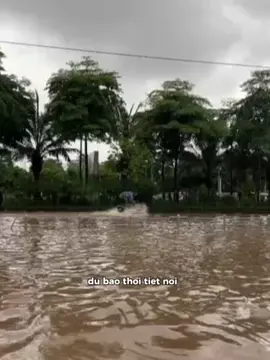 Vịnh Võ Chí Công #thisway 