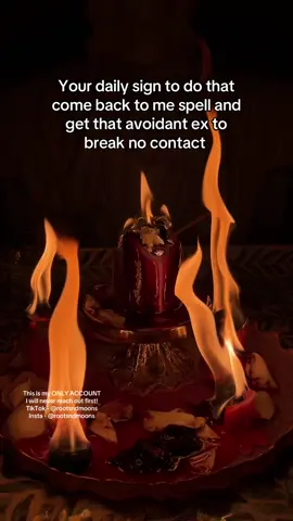 You know you want to 🤭 Link in bio to book a spell 🕯️ #rootsandmoons 