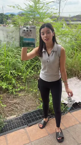 Racun rumput ni , mmg sgt2 berkesannnn dia membuatkan rumput2 ni jadi kering senang nak cabut senang nak bersihkan rumput2 ni, dlm jangka masa 3bulan pun dia takkan tumbuh balik, dan dia takkan rosakkan tanah korang tauuuu. Lepas dia Tumbuh balik, korang sembuh je lagiii ! Senang kerja kita , kalau korang nak pergi order dekat beg kuning sbb harga murah je 😍🔥🔥 #racunrumput #racuntiktokshop #fyp #mamaelainerecommend #viral 