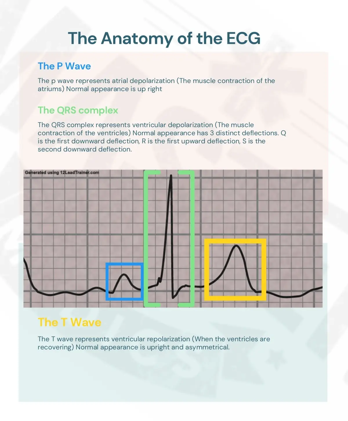 #ECG #medicalstudents #copylink #fyp #plzfollowandshare 