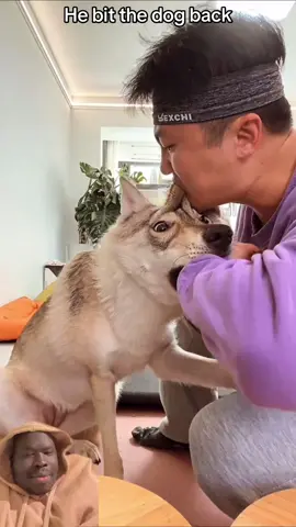 That’s how you assert your dominance. #Dogs #dogowner #Domesticated #greenscreenvideo 