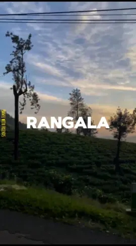 #Rangala #vibe #srilanka 