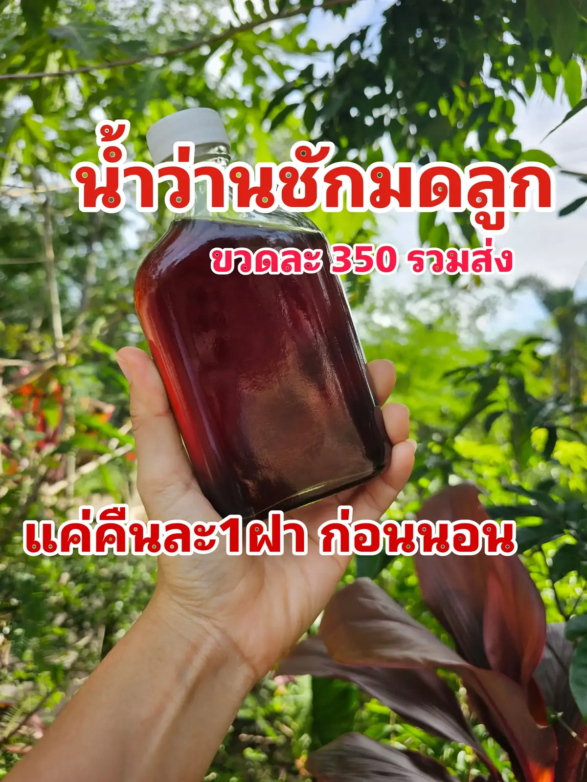 #น้ำว่านชักมดลูก  ✅️ฟอกโลหิตสตรี ✅️มดลูกหย่อน ✅️กลิ่นคาว ✅️ระดูขาว ✅️ประจำเดือนไม่ปกติ ✅️เลือดลม ฮอโมนวัยทอง ส่วนผสมสำคัญ ว่านชักมดลูก พริกไทยดำ กระชายดำ ดอกคำฝอย  การรับประทาน ทุกวันก่อนนอน1 ครั้งละ 1-2ช้อนชา ข้อดีของการทานก่อนนอน 1.โลหิตไหลเวียนดียามหลับ 2.หลับสบายขึ้น 3.ตื่นมาสดชื่น อารมณ์เบิกบาน ผ่องใส 4.ขณะหลับ สมุนไพรจะบำรุงธาตุได้ดี ข้อห้าม 1.ตั้งครรภ์ ไม่ควรทาน 2.ทานยาสลายลิ่มเลือด 3.ความดันต่ำ ข้อเสนอแนะ ทานได้ทั้ง หญิง และ ชาย เด็กวัยรุ่น เริ่มมี รอบเดือน ทานได้เลย จนสูงวัย  ผลลัพท์ของการทาน ระยะเวบา หรือ การ เห็นผล ต่างๆ เกี่ยวกับภายใน เป็นส่วนที่ต้องเข้าใจว่า ขึ้นอยู่กับแต่ละบุคคล  ไม่สามารถ บอกได้ชัดเจน แนะนำให้ทานต่อเนื่องเป็นประจำ เพื่อการดูแล สุขภาพ ระยะยาว  ✅️ขนาดบรรจุ 250มิลลิลิตร ✅️1ขวด ทานได้ 1 เดือน ✅️ราคา 350รวมส่งด่วนไปรษณีย์ #รีวิว 