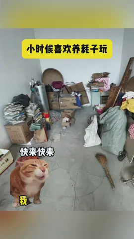 小时候喜欢养耗子ʚ🐭ɞ玩 #猫meme #catmemes #搞笑 #抽象 #万万没想到 