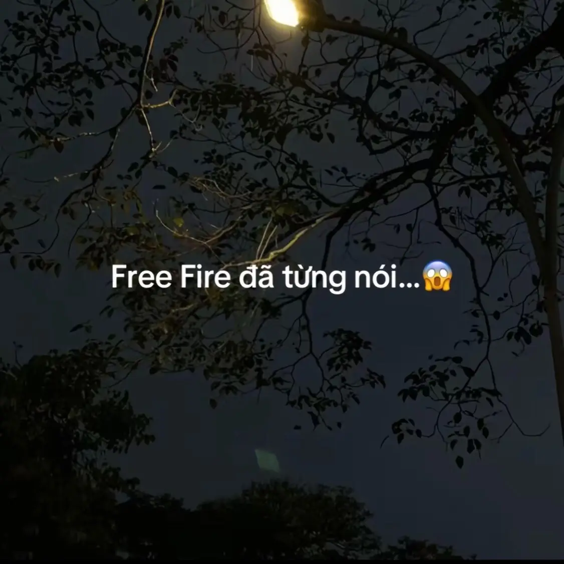 Free Fire@Garena Free Fire VN #freefire_lover #fyp #freefire #xuhuong #garenafreefire 