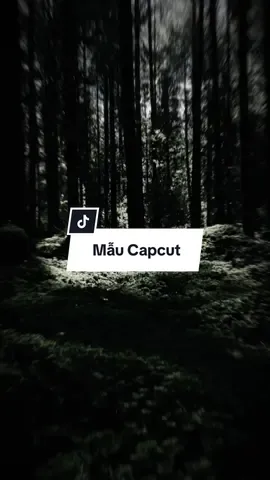 #CapCut nơi đây còn vương chút tình ngày nào mình bên nhau... #xuhuongtiktok #tuandidz #nhachaymoingay #maucapcut 