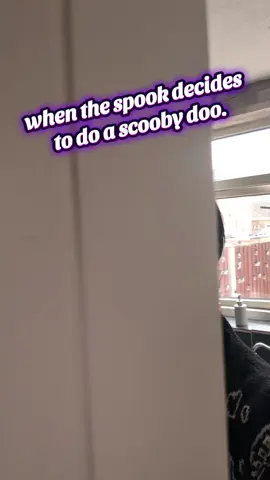 when the spook thinks he's in an episode of scooby doo. #funnystory #paranormal #spookyseason #ghoststories #spirituality 