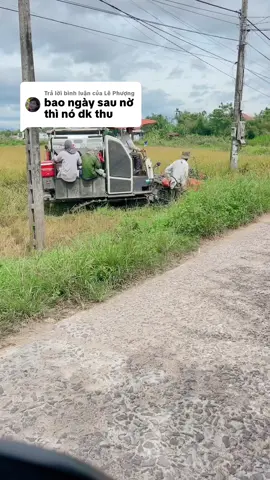 Trả lời @Lê Phượng sâu từ ngày nở tùy theo chế độ mình cho ăn,ăn lực thì từ 12 ngày tuổi đã cho vật nuôi ăn được rồi,anh em có nhu cầu mua trứng ruồi lính đen nuôi sâu canxi thì góc trái có giỏ hàng mình để trong đó nha#anh2bi #aftereffects #viral #sâucanxi #rutin 