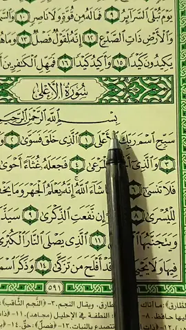 recitation of quran 🎧 surah alaala🤍#quran #fyp #goviral #quran_alkarim #quranrecitation 