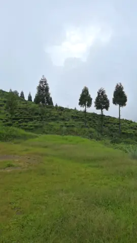 #jasbireilam🌱 #ilam#chiyabariilam🌿 #hiace#goviral 