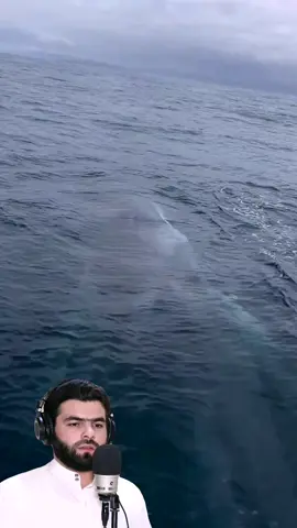 #تلاوة_خاشعة 