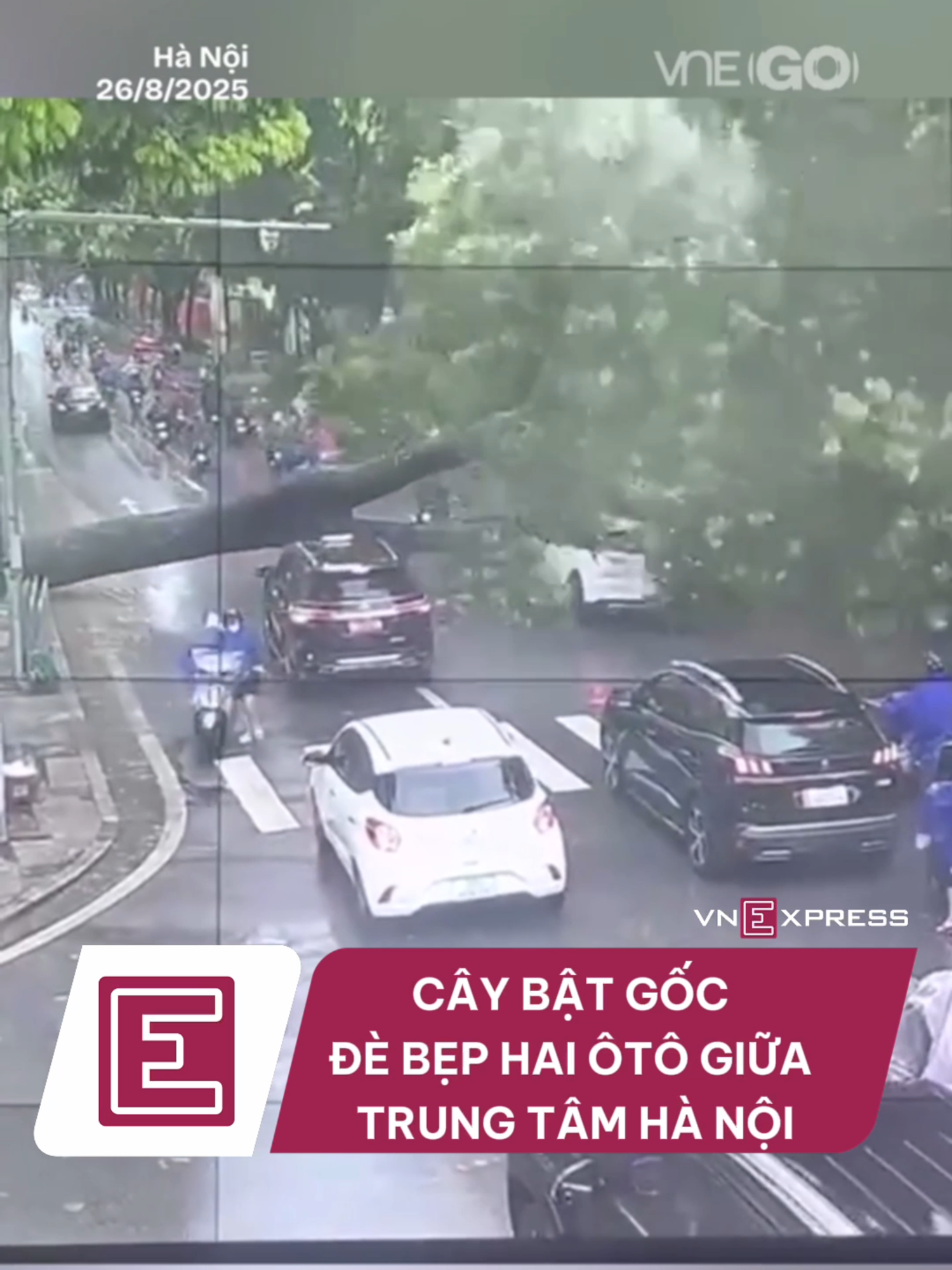 Cây bật gốc đè hai ôtô giữa trung tâm Hà Nội #baokajiki #tiktoknews #vne #vnexpress #vnego