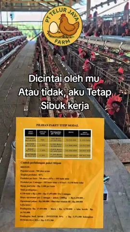 BURUAN JOIN  KEMITRAAN  TELUR JAYA FARM  CUKUP TITIP MODAL 1,8JT   KEUNTUNGAN 5.371.500  RB PER 2 MINGGU  INVESTASI YANG  MENJAJIKAN  AUTO CUAN BESAR  DI AWASI OLEH  ORANG ORANG  PROFESIONAL  AMAN DAN AMANAH  LEGALITAS PT MOU TENTUNYA #bismillahfyp #bisnispemula #peternaksuksesindonesia #peternakmuda #ayamraspetelur 