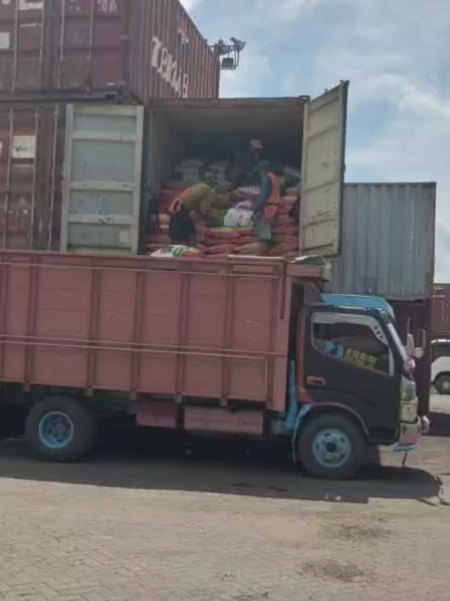 #petani pintar #petani  maju # tepat dalam pengaplikasian pupuk sehat pohon sawit nya  melimpah hasil panenya  ingat pastikan pupuk nya  jangan  di coba coba  yg berkualitas punya harga Saha at taniku😁😁💸💸🇮🇩 Monggo yg mau order  area Kalimantan😁🙏