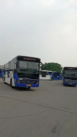 ** PALALA, 259 
