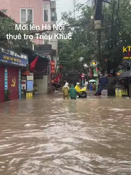 Triều Khúc 
