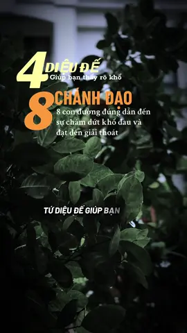 Tứ diệu đế - Bát chánh đạo là gì? #ngộđểan #phatphapnhiemmau #xuhuongtiktok #cliptrieuwiew #xuhuong 