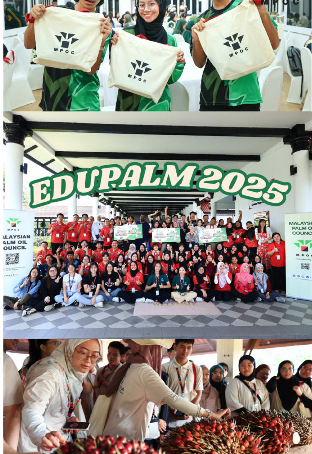 EDUPALM 2025: Shaping Tomorrow’s Palm Oil Advocates    Nearly 70 students from Universiti Putra Malaysia (UPM), UCSI University, and REGENERASI #MYPalmPride ambassadors joined MPOC’s EDUPALM 2025; a three-day journey of seminars, field visits, and interactive challenges designed to deepen their understanding of Malaysian Palm Oil in nutrition, sustainability, and innovation.    Relive the experience in this video highlight and see how EDUPALM continues to inspire the next generation of #MalaysianPalmOil advocates.    Comment your university if you’d like to be part of future #EDUPALM editions!