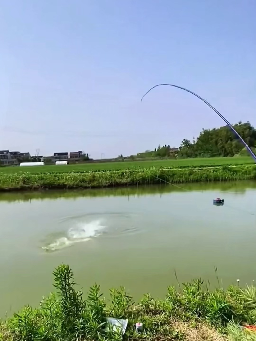 Ikan terus aim umpan ni, baling je semua datang menyerbu! #Umpan #PanggilIkan #SenangStrike