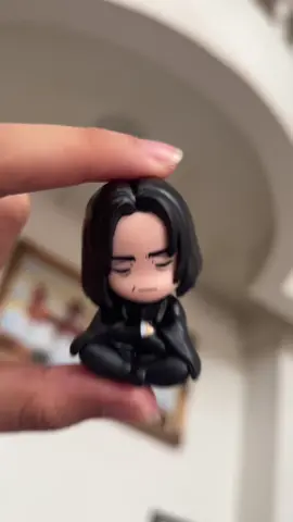 I have a lot of Snape in my house🙈#harrypotter #snape #alanrickman #severussnape 